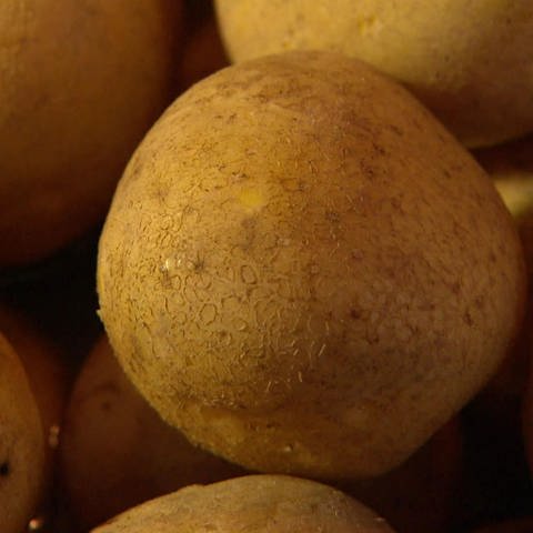 Was wird aus Kartoffeln? · Was wo wie wächst (Foto: SWR)