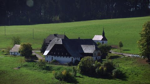 Die Schwarzwaldbauern · Der Schwarzwald (Foto: SWR)