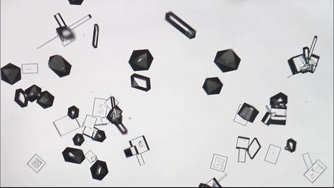 Salzkristalle unter dem Mikroskop. (Foto: SWR - Screenshot aus der Sendung)