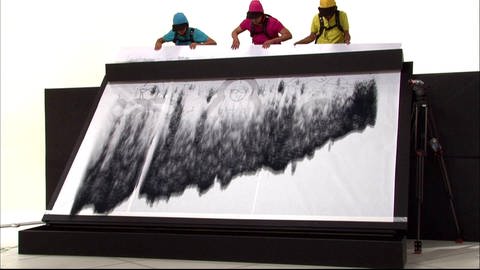 Drei Personen halten eine große Leinwand. An ihr läuft Toner herab und es zeichnet sich ein Bild ab. (Foto: SWR - Screenshot aus der Sendung)