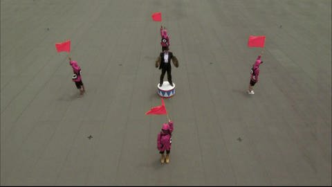 Eine schwarz gekleidete Person mit Zylinder und zwei Becken steht auf einem Platz, um ihn herum stehen vier Personen und halten Fahnen in die Luft. (Foto: SWR - Screenshot aus der Sendung)