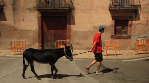 Ein junger Mann läuft mit einem Esel an der Leine durch die Stadt.  (Foto: WDR - Screenshot aus der Sendung)