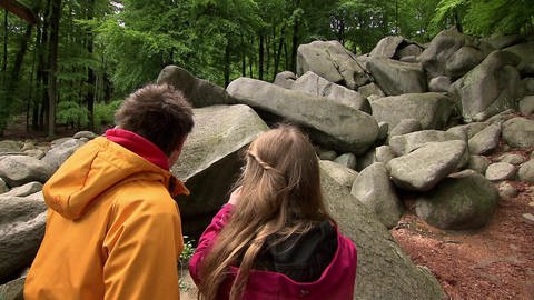 Ein Mann und eine Frau stehen im Wald vor vielen Felsen. (Foto: SWR / BR / WDR - Screenshot aus der Sendung)