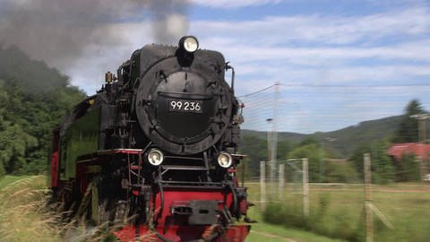 Eine schwarz-rote Dampflok fährt an Wäldern und Feldern vorbei. (Foto: SWR / BR / WDR - Screenshot aus der Sendung)