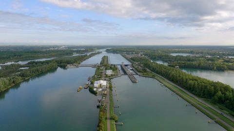 Eine einschneidende Veränderung: die Rheinbegradigung durch Tulla (Foto: SWR / WDR)