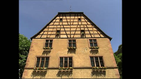 Aus Holz und Lehm: Das Fachwerkhaus (Foto: SWR)