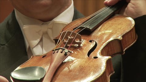 Aufbau der Geige (Foto: WDR)