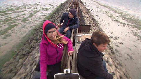 Drei Personen sitzen auf einem offenen Wagen und fahren auf Schienen durch das Wattenmeer. (Foto: SWR / BR / WDR - Screenshot aus der Sendung)
