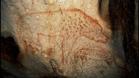 Europas erste Höhlenkünstler (Foto: WDR)