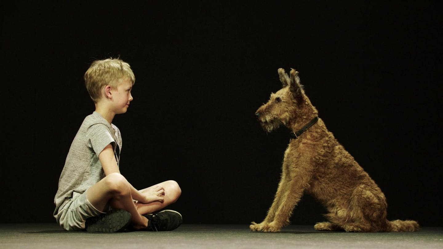 Hund und Mensch (Foto: WDR)