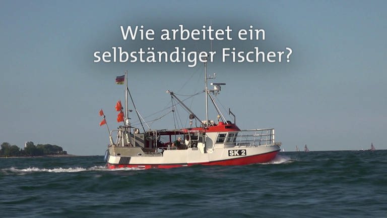 Wie arbeitet ein selbständiger Fischer? · Frage trifft Antwort (Foto: SWR)