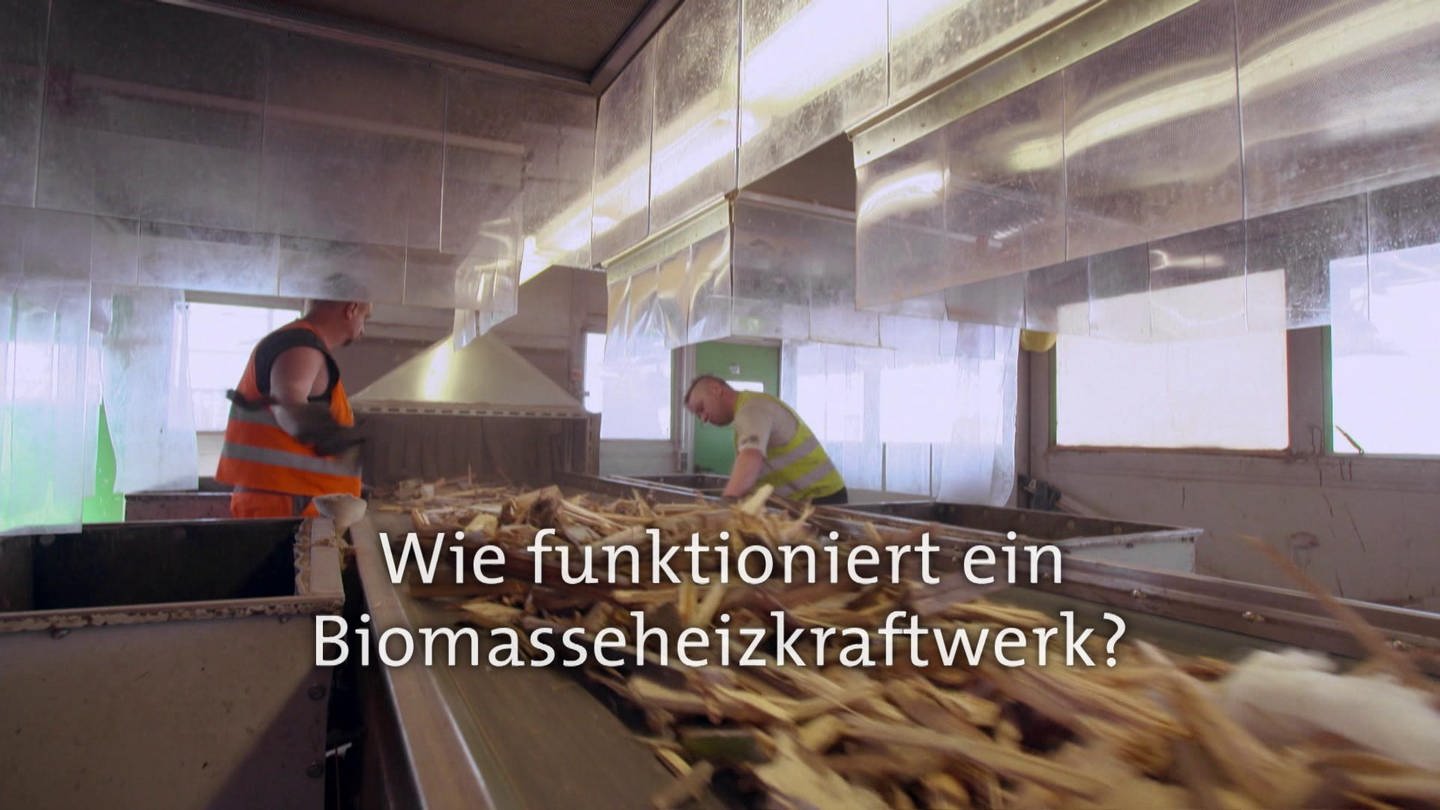 Wie funktioniert ein Biomasseheizkraftwerk? · Frage trifft Antwort (Foto: SWR)