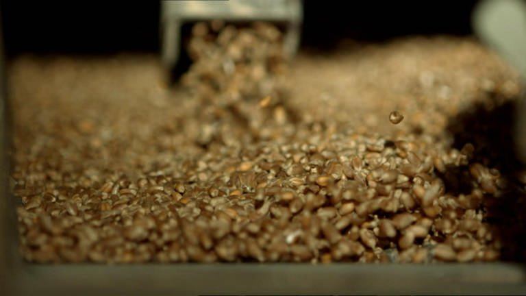Wie reinigt man Getreide? · Frage trifft Antwort (Foto: SWR)