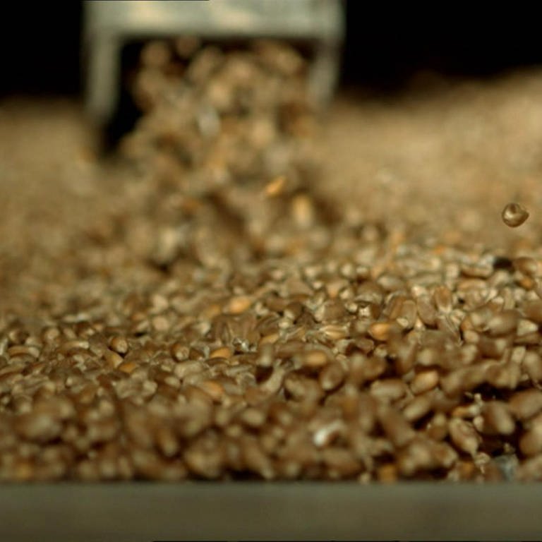 Wie reinigt man Getreide? · Frage trifft Antwort (Foto: SWR)