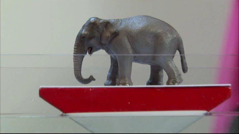 Wie wiegt man einen Elefanten ohne Waage? · Frage trifft Antwort (Foto: SWR)