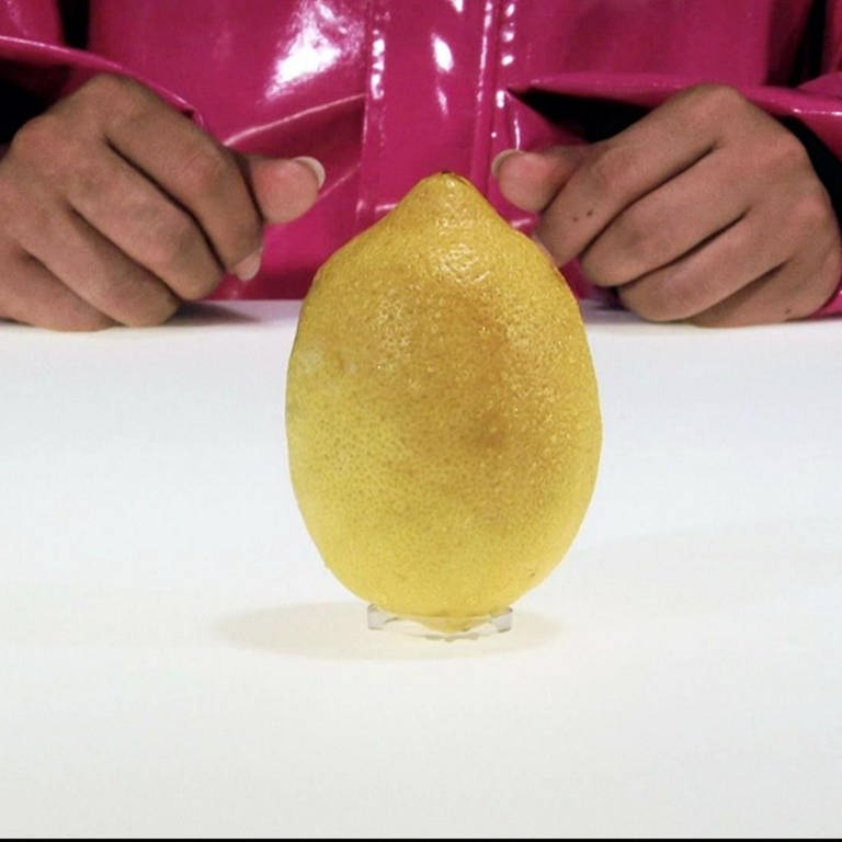 Eine Zitrone. (Foto: SWR - Screenshot aus der Sendung)