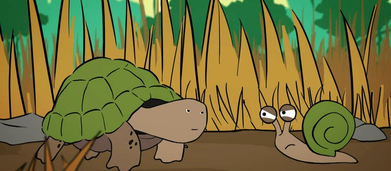 Mobbing: Eine Schnecke schaut eine Schildkröte böse an. (Foto: vision X/WDR)