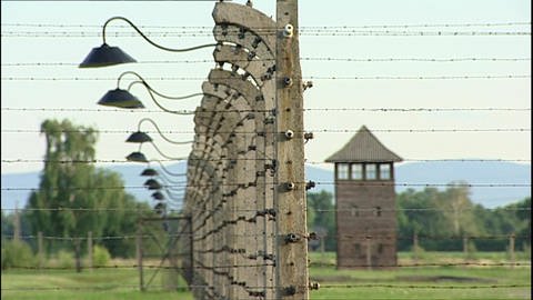 Hohe Stacheldrahtzäune und ein Wachturm im Hintergrund: das Konzentrationslager Auschwitz-Birkenau. (Foto: WDR)