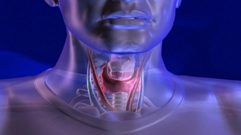 Was bricht beim Stimmbruch? · Frage trifft Antwort