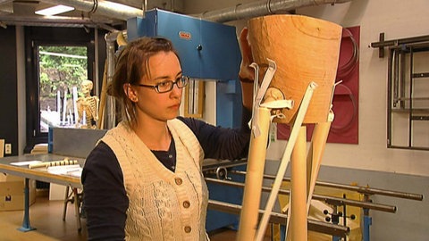 Wie bewegt sich die Hüfte? · Frage trifft Antwort