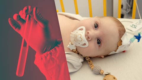 Was ist gut an... Gentechnik? · Was ist gut an...