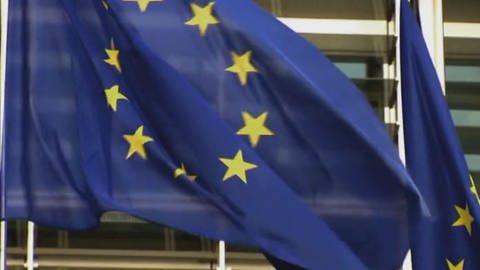 Warum gibt es 12 Sterne auf der EU-Flagge? (Foto: WDR)