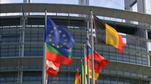 Die EU und Du! (aktualisierte Fassung 2020) (Foto: WDR)