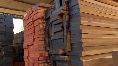 Peru: Wie wird FSC-zertifiziertes Holz von nicht-zertifiziertem unterschieden? (Foto: SWR)