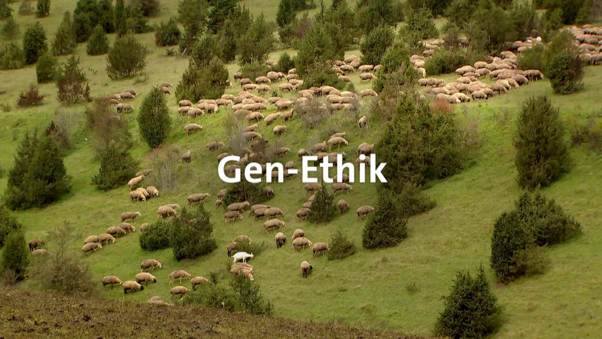 Gen-Ethik · total phänomenal