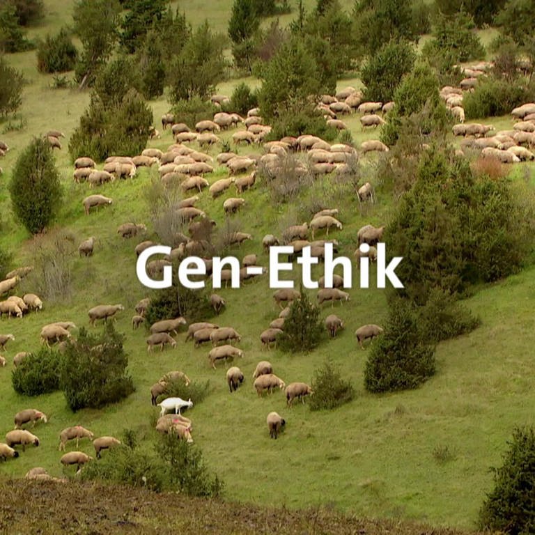 Gen-Ethik · total phänomenal
