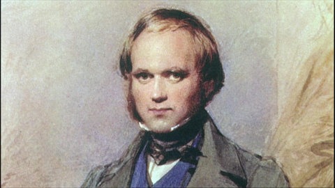 Darwins Reise zur Evolution