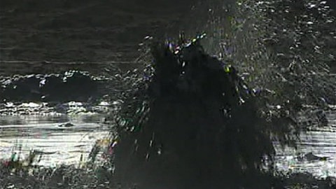 The Versatility of Crude Oil · Totally Phenomenal