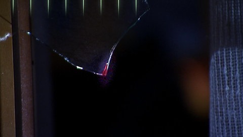 The Trail of DNA · Totally Phenomenal