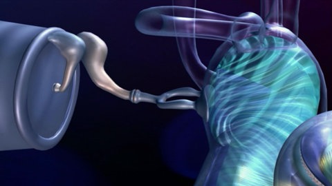 Super Ears · Totally Phenomenal