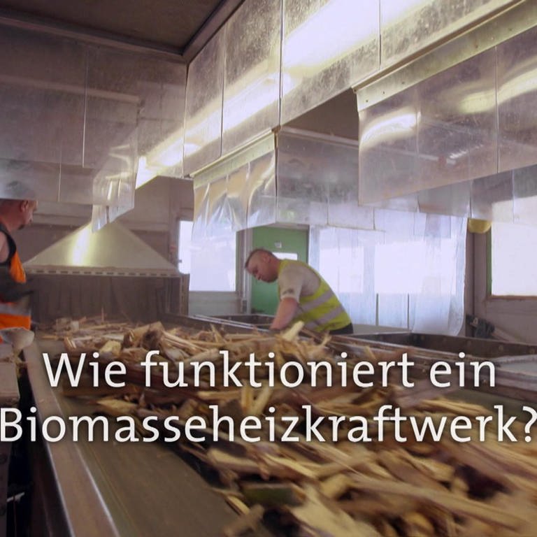 Wie funktioniert ein Biomasseheizkraftwerk? · Frage trifft Antwort (Foto: SWR)