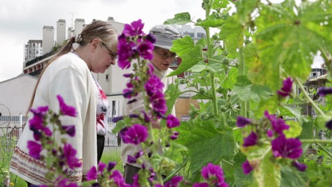 Paris: Dachgärten in der Metropole · Big Cities