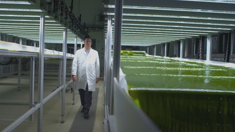 Algenzucht an der TU München.