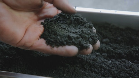 Pflanzenkohle in einer Hand.
