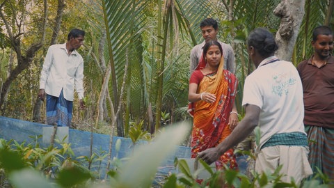 Frauen in einem Mangrovenwald