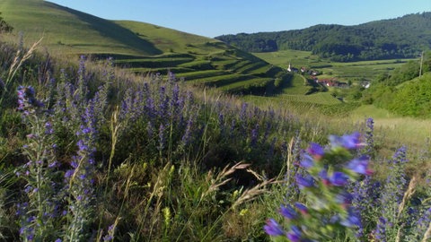 Wie entstand der Kaiserstuhl? · Frage trifft Antwort