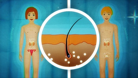 Warum nimmt die Körperbehaarung in der Pubertät zu? · Du bist kein Werwolf: Über Leben in der Pubertät