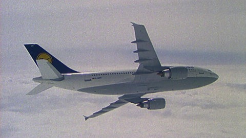 Wegweisende Echos · total phänomenal