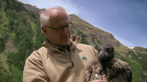 Die Arche vor der Haustür · Theos Tierwelt