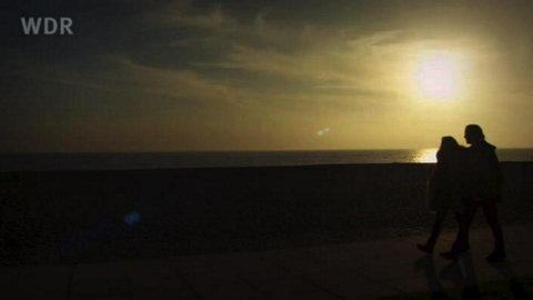 Shannon, the Prefect · Life in a Boarding School