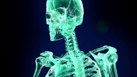 Wie funktioniert ein Computertomograph? · Frage trifft Antwort