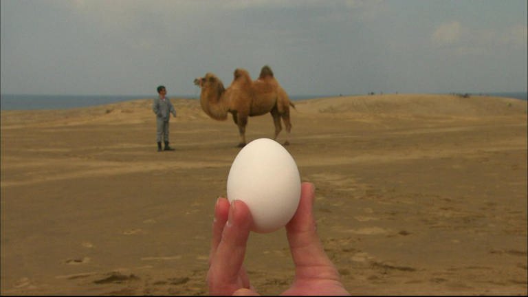 Eine Hand hält ein Ei in die Luft, dahinter steht ein Kamel in der Wüste.