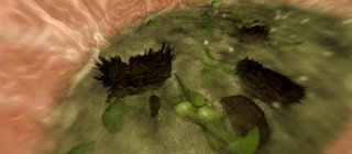 Aus Kost wird Kot · total phänomenal