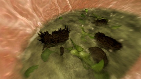 Aus Kost wird Kot · total phänomenal