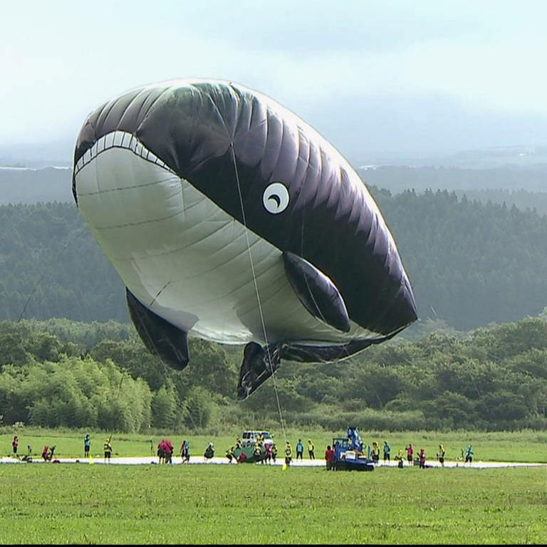 Ein riesiger Heißluftballon in Walform schwebt über einer Wiese. (Foto: SWR - Screenshot aus der Sendung)