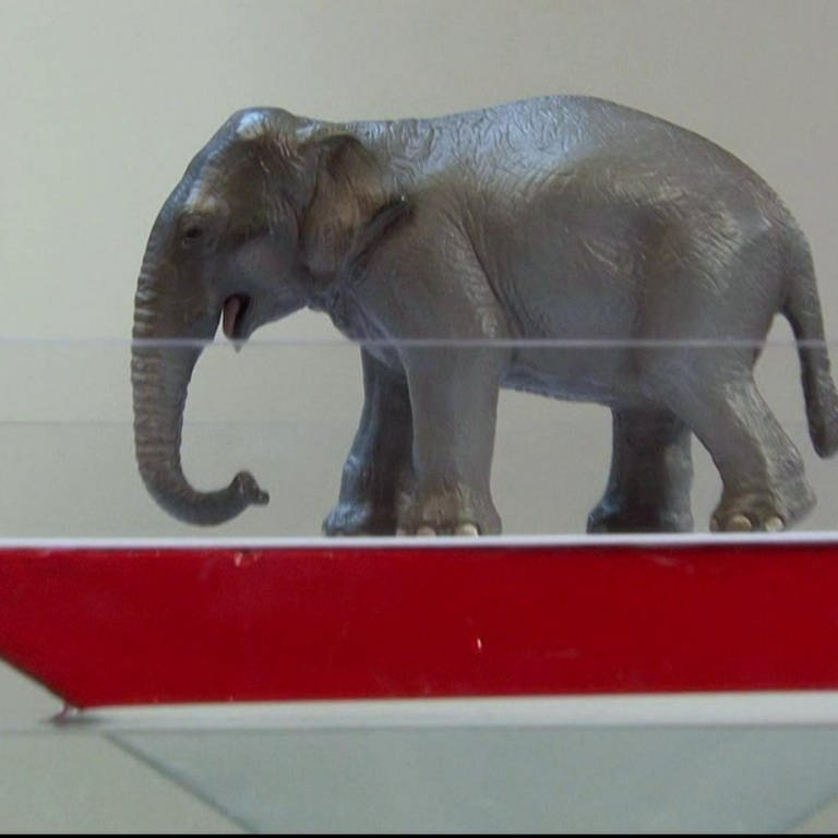 Wie wiegt man einen Elefanten ohne Waage? · Frage trifft Antwort (Foto: SWR)